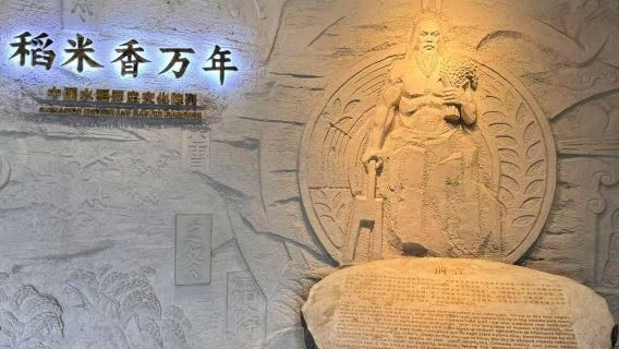 Changsha Longping Rice Museum + Orange Island + Chaozong Ancient Street one-day tour- English Service Available