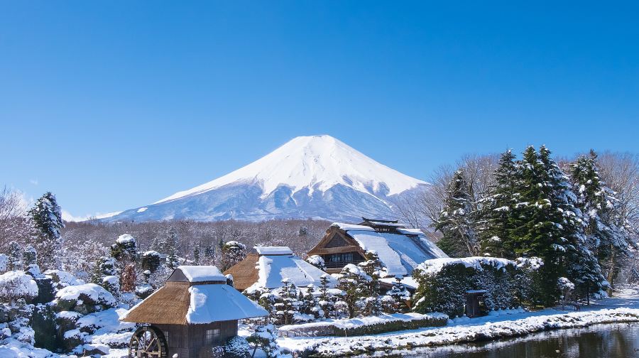 日本東京富士山必拍絕景一日遊【出片打卡點：羅森富士河口湖町 • 新倉山淺間公園 • 富士吉田本町商店街 • 忍野八海 • 花之都公園 • 山中湖 & 平野之濱】