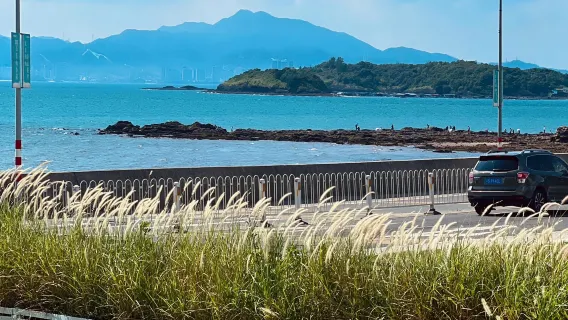Dagstur til Huizhou Vestlige Sø + Løvebyen + Ti Miles Sølvstrand + Daya Bugt med kinesisk og engelsk service