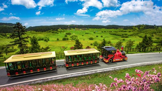 1-day tour from Chongqing: Three Natural Bridges + Fairy Mountain National Forest Park, pure play with no shopping