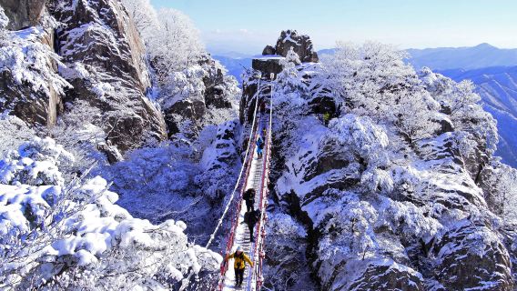 DaejeonTours