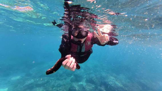 萬寧日月灣體驗潛水浮潛3小時【日月灣浮潛玩樂選項/單浮潛提供浮潛裝備+海上滑梯魔毯送拍攝】