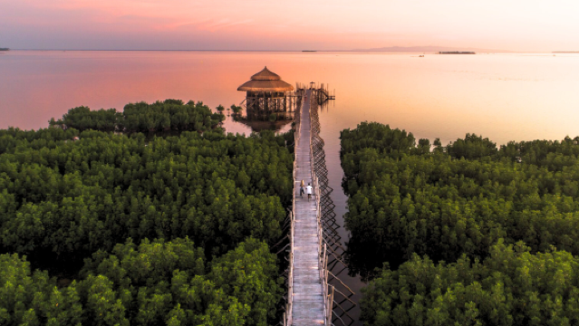 Coucher de soleil et histoires à Bohol : Une escapade nocturne à Bohol