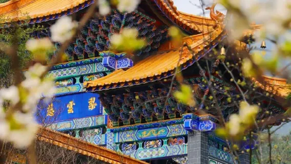 Dịch vụ đưa đón, hướng dẫn viên địa phương, phiên dịch, tiếp đón du lịch, hội chợ triển lãm, khảo sát thương mại và hỗ trợ khám chữa bệnh tại Bảo Sơn