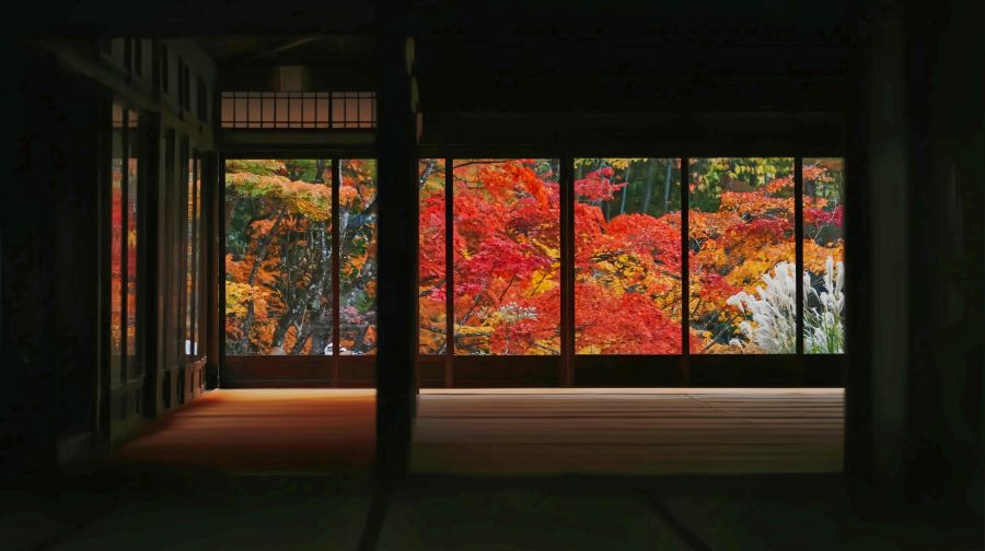 大阪+京都小團一日遊丨紅葉秘境巡禮琉璃光院·三千院·貴船神社