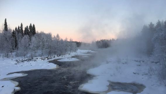 Rovaniemi: Wilderness Tour