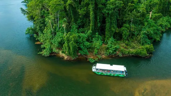 Cairns: Wildlife Habitat, Mossman Gorge, and Daintree Tour