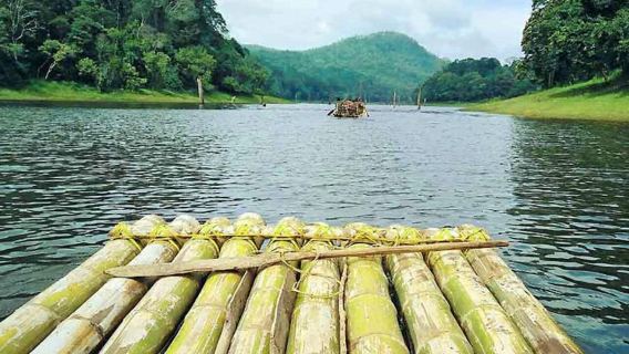 Kerala: tour di 6 giorni per famiglie con Munnar, Thekkady e altro ancora
