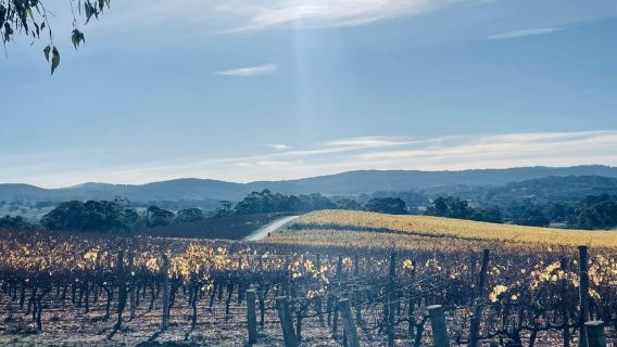 Tur Adelaide Hills