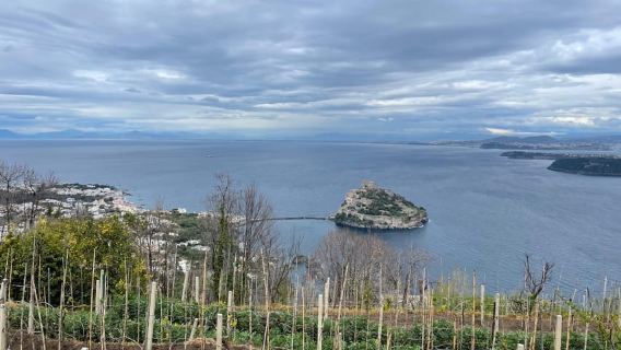 Ischia: East coast hike