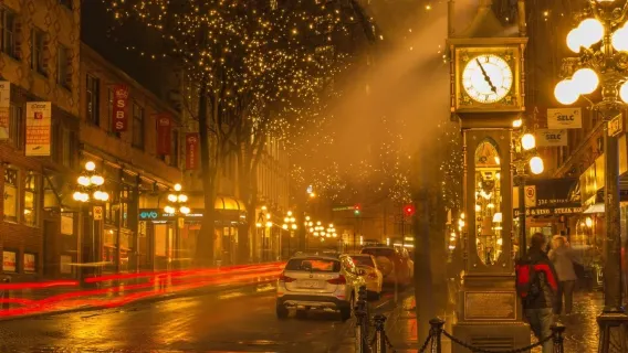 Buchung nach Beratung/Vancouver Chinatown Lions Gate Bridge Capilano Suspension Bridge Lighthouse Park/Flughafen/Point-to-Point-Transfer/Reiseführer und Fahrer/Chauffeurservice