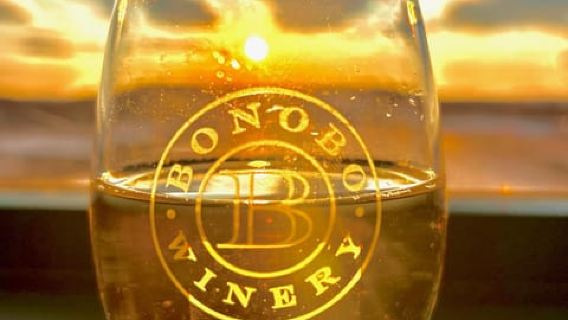 Visite des vignobles du domaine Old Mission Peninsula au coucher du soleil