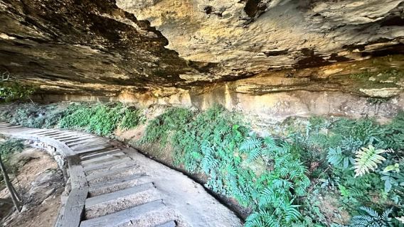 Blue Mountains: Overcliff-Undercliff Guided Hike