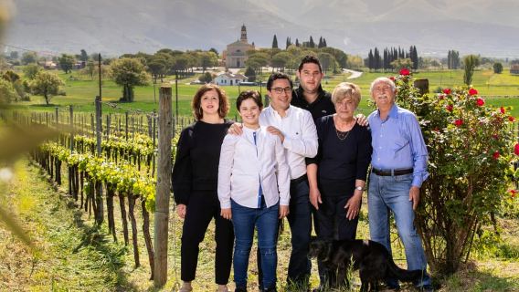 Montefalco: Winery and Vineyard Tour and Private Tasting