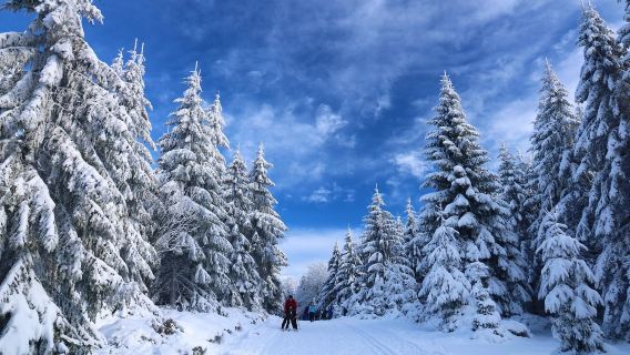 芬蘭+赫爾辛基+雪地湖區+米凱利一日遊【多/日遊全境定制】