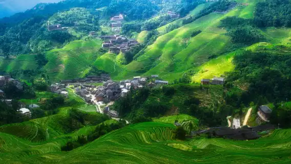 【8人小團｜私人導覽】桂林龍脊梯田-金坑梯田+黃洛紅瑤寨一日遊