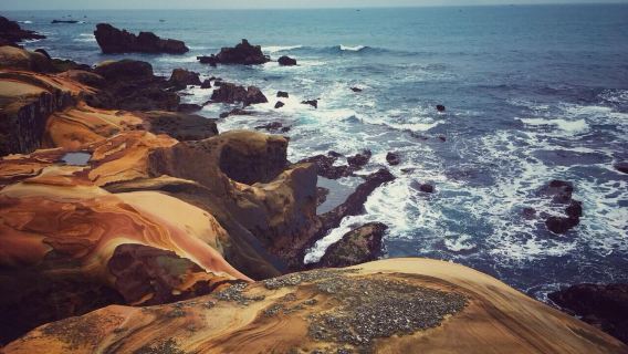 台灣台北出發+野柳+陰陽海+13層+黃金瀑布+九份+十分