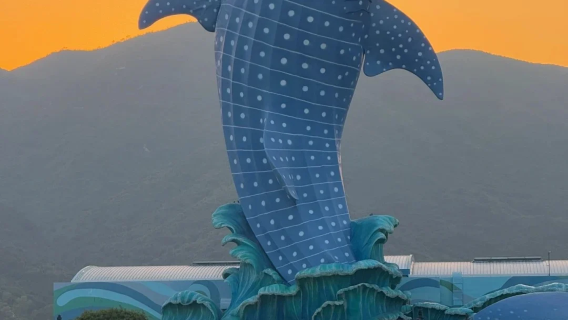 Zhuhai Chimelong Ocean Kingdom Parco delle Navi Spaziali Pacchetto opzionale con pinguini/navi/spettacoli/circo/baia di Hengqin Spettacolo Chimelong/Kaka Tiger 1 notte con spettacolo pirotecnico oceanico 2 notti al Chimelong Ocean