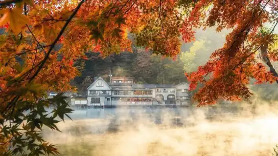 1-day tour to Dazaifu-tenmangu Shrine + Yufuin + Kinrin Lake + Yufuin no Mori Train in Oita, Japan