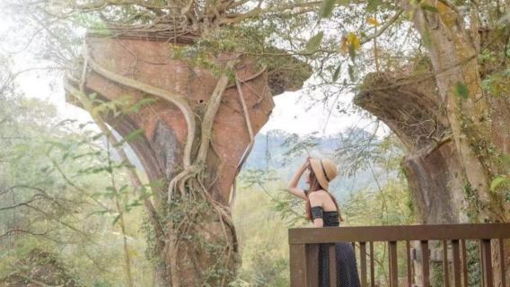 เหมียวลี่สามจังหวะ เดินเล่นวัฒนธรรม ~ ตรอกหอมหมื่นลี้ + พิพิธภัณฑ์แกะสลักไม้ + ทัวร์วันเดียว/ทัวร์หลายวัน จักรยานรางรถไฟสายภูเขา