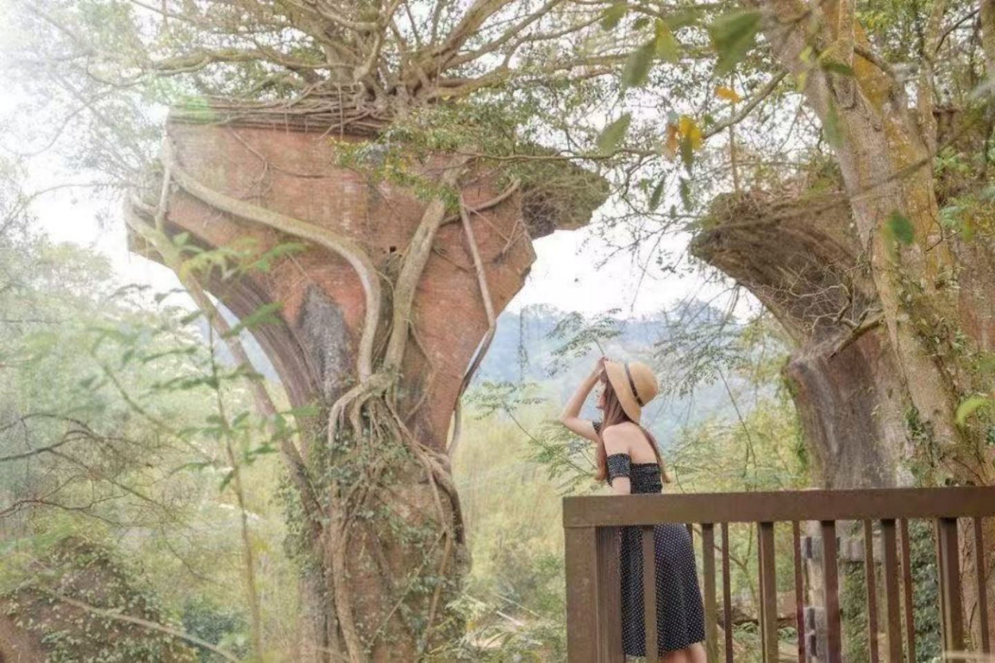 苗栗三韻.人文散策～桂花巷+木彫博物館+山線鉄道自転車ワンデーツアー