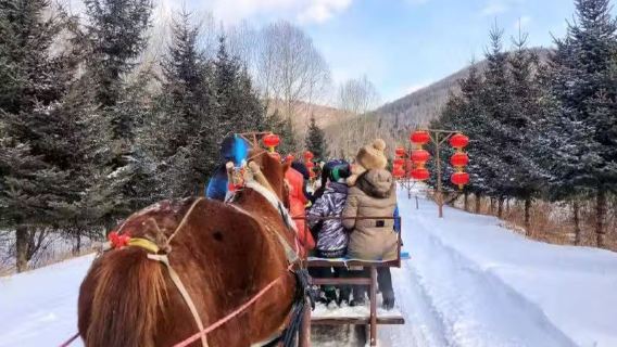 China's Snow Town 1-day tour + Mount Datuding 1-day pure play tour