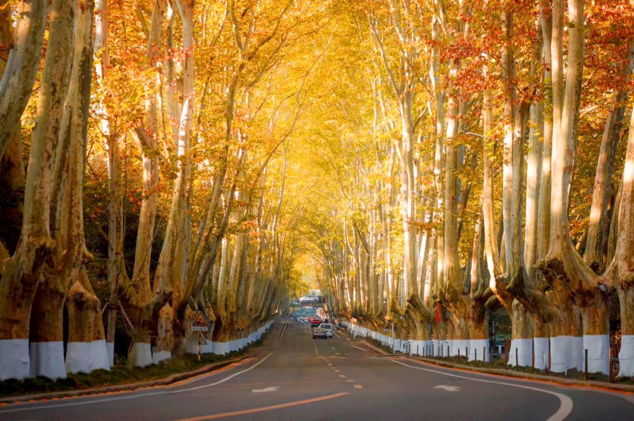 南京總統府+牛首山文化旅遊區+中山陵景區+美齡宮+夫子廟1日