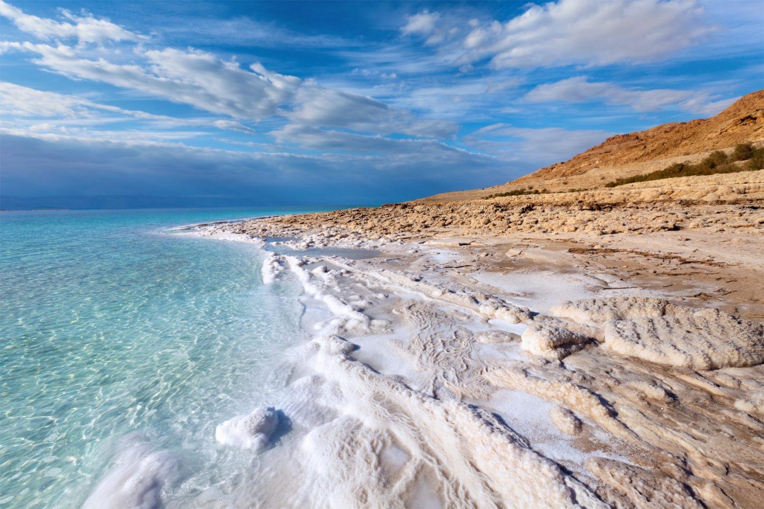 Amman round-trip 1-day tour to the Dead Sea | Enjoy floating and mud therapy experience