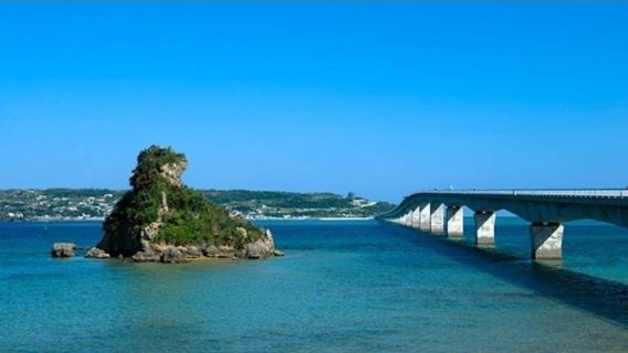 Okinawa: Bus Tour to Yanbaru National Park and Kouri Island