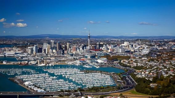 Auckland city and natural highlights small group tour | English guide