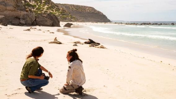 1-day tour to seal bay conservation park from kangaroo island in Adelaide, Australia [departing from kangaroo island/lunch included]