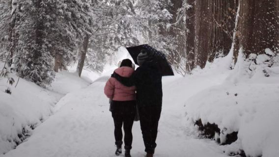 Visite privée des singes des neiges de la vallée de l'Enfer à Nagano au Japon · Accompagné d'un guide touristique local (de novembre à mai uniquement)