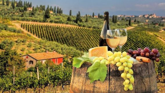 Half-day tour of the Chianti wine region in Italy|Includes visits and tastings at 2 wineries