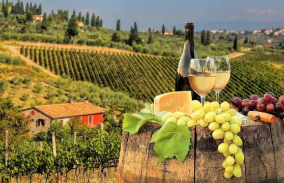意大利基安蒂葡萄酒產區半日遊|包含2間酒莊參觀品酒