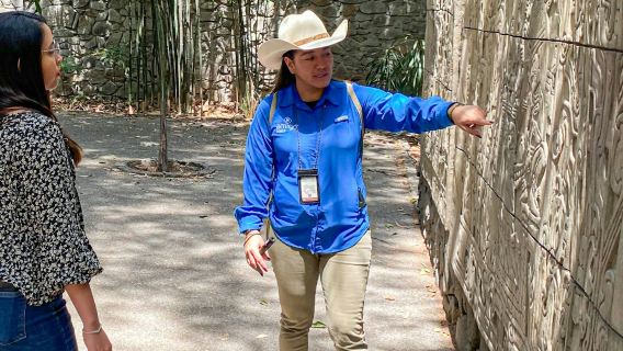 Museo Nacional de Antropología: Visita guiada + Acceso anticipado