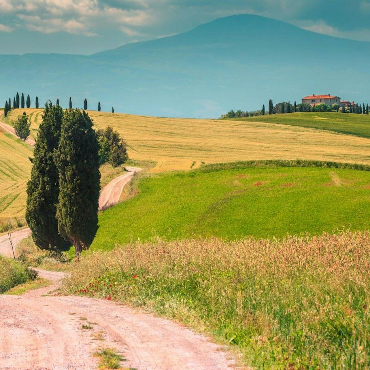 Chianti: tour guidato da Siena + degustazione di vino e olio d'oliva