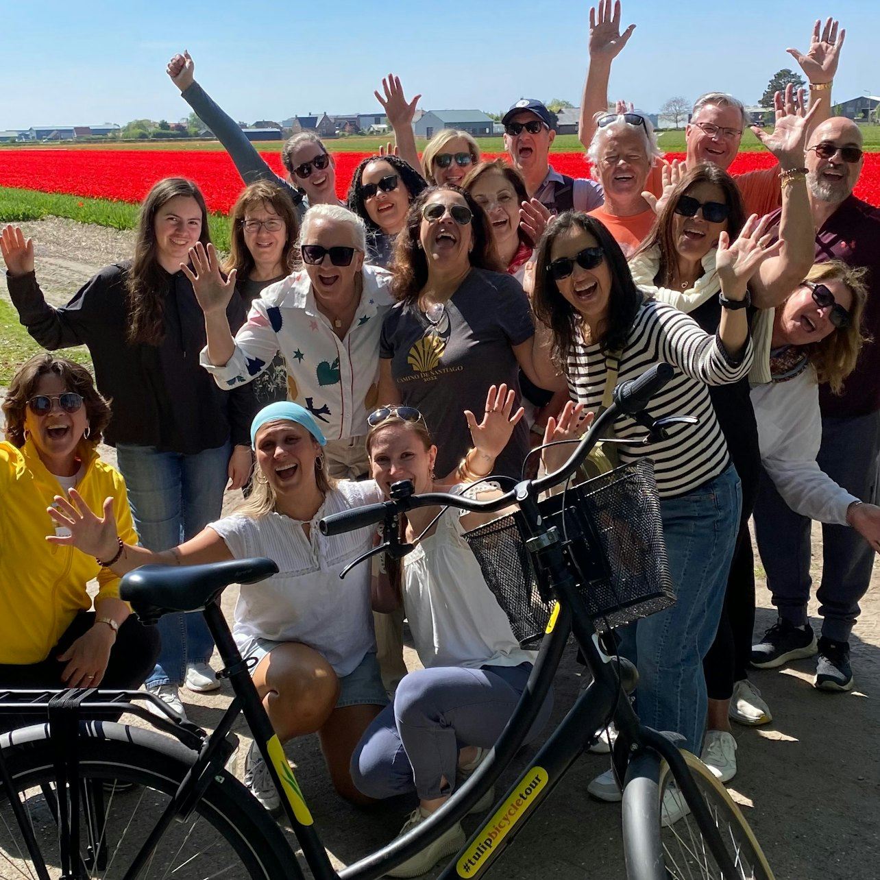 Amsterdam: tour guidato in bicicletta nei campi di tulipani