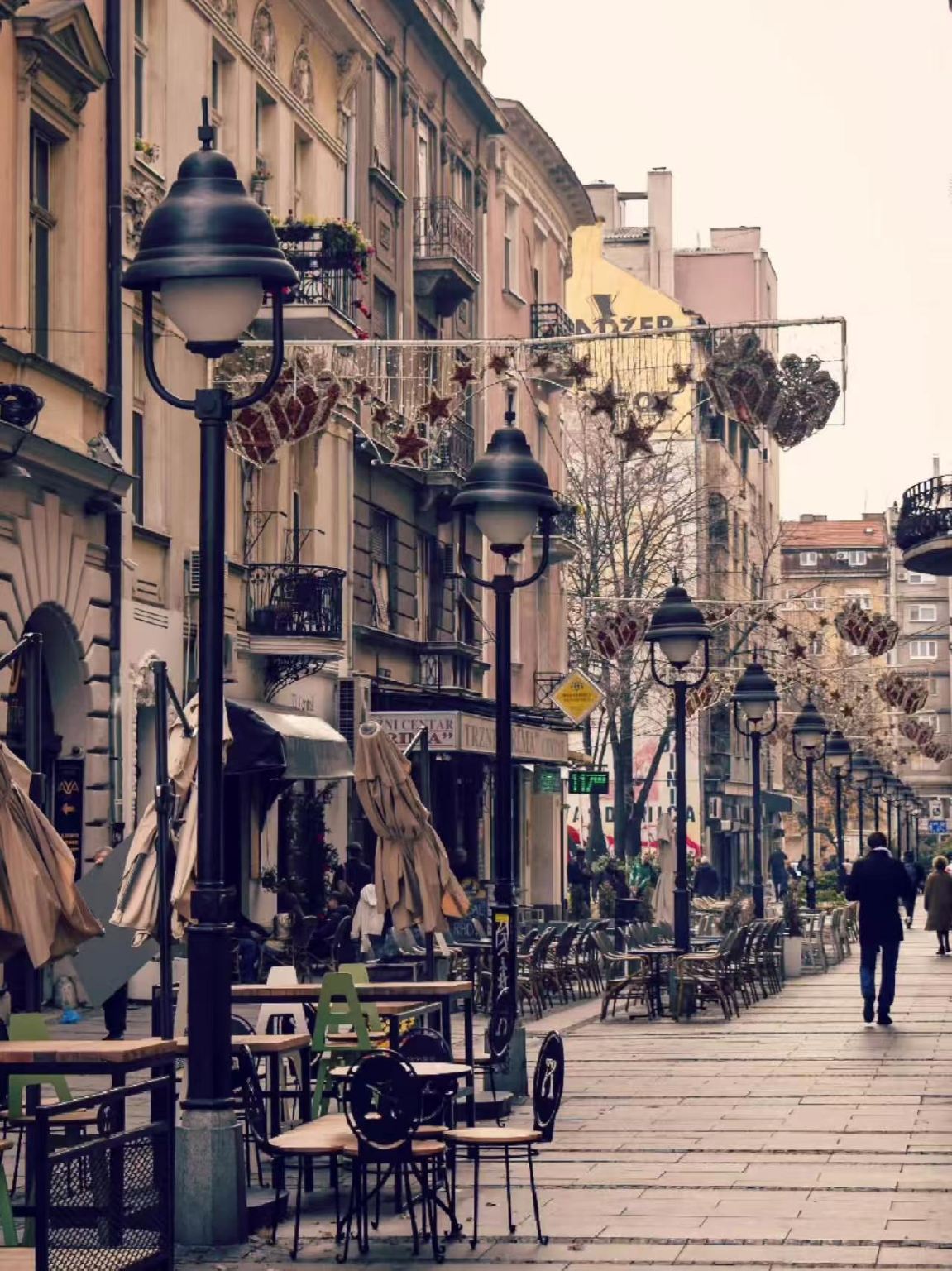 塞爾維亞-貝爾格萊德-德里納河屋-塔拉國家公園-等地一日遊