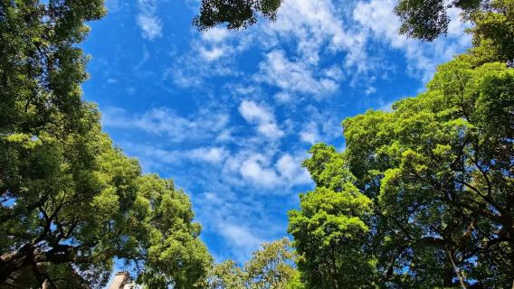 Guangzhou Beijing Road + Shamian Island + Shishi Sacred Heart Cathedral + Yongqingfang