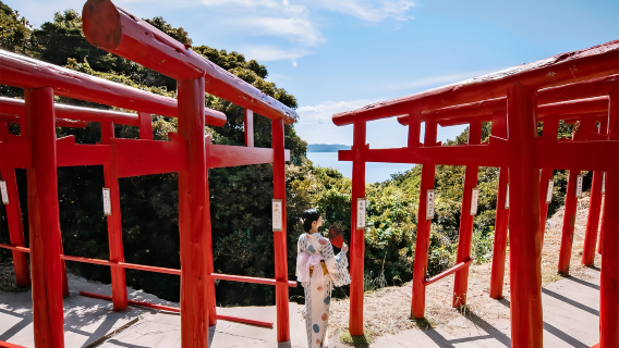 Kitakyushu Coastline 1-day Tour: Mojiko Port/Karato Market + Motonosumi Shrine + Mount Sarakura Night View