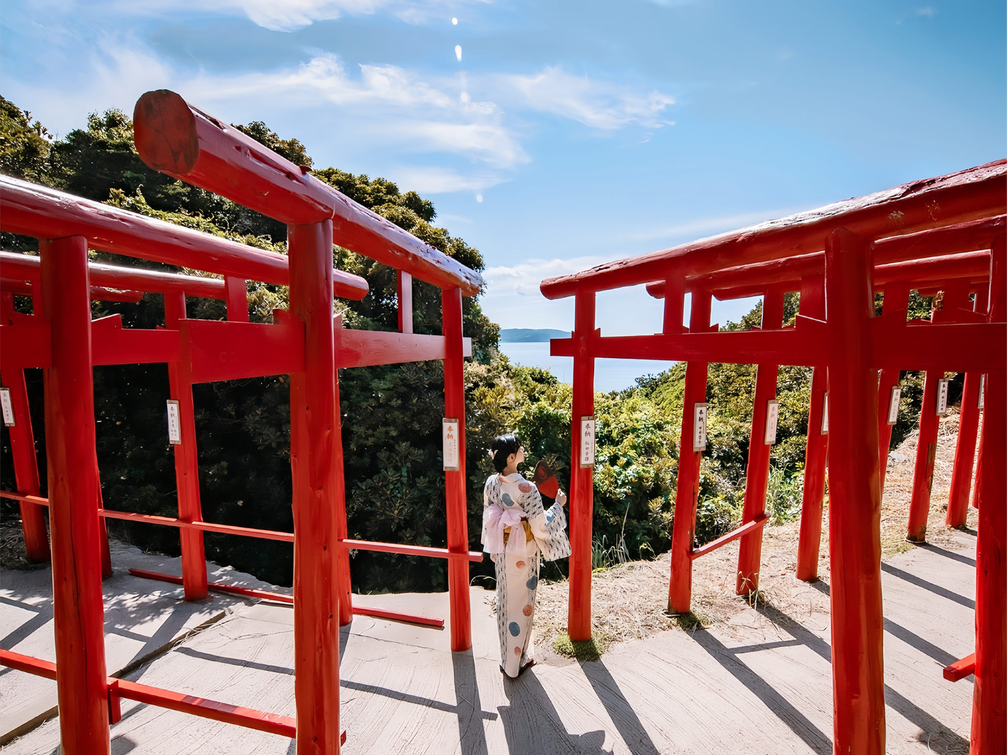 Kitakyushu Coastline 1-day Tour: Mojiko Port/Karato Market + Motonosumi Shrine + Mount Sarakura Night View