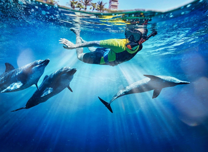 tour di un giorno in barca sul Mar Rosso in Egitto, snorkeling e immersioni a Hurghada, avvistamento delfini, tour di un giorno all'Isola del Paradiso con barca dal fondo di vetro