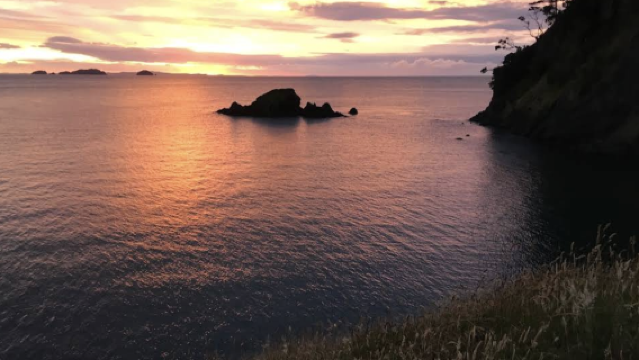 Auckland + Hobbiton™ Movie Set Tours + Waitomo Day Tour from New Zealand - Customizable [Chinese-Speaking Vehicle - Comfortable & Relaxing]