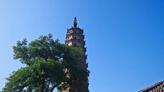 Tagesausflug mit Privattransfer in Lanzhou, Gansu: Skulptur der Mutter des Gelben Flusses, Weiße Pagode Berg und Gelbe Fluss Brücke mit englischem Service