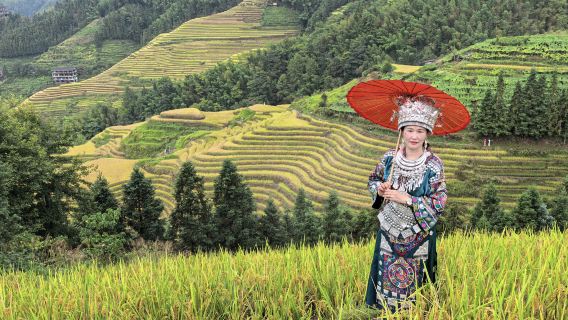 Guilin: In-Depth Longji Rice Terraces Adventure by CITS × ZANBUS. Exclusive Experience.