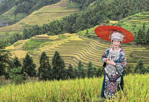 Guilin: In-Depth Longji Rice Terraces Adventure by CITS × ZANBUS. Exclusive Experience.