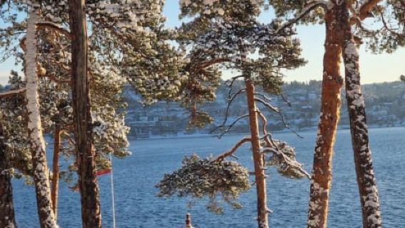 Oslo : randonnée guidée avec gaufres et boissons sur la plus belle île de Malmøya