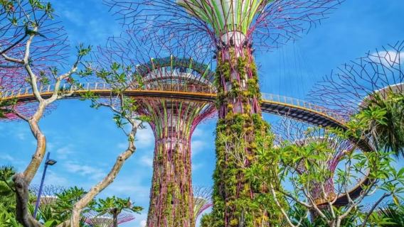 Einfach- / Hin- und Rückfahrt für Punkt-zu-Punkt-Transfers auf Sentosa Island in Singapur / maßgeschneiderte Touren möglich