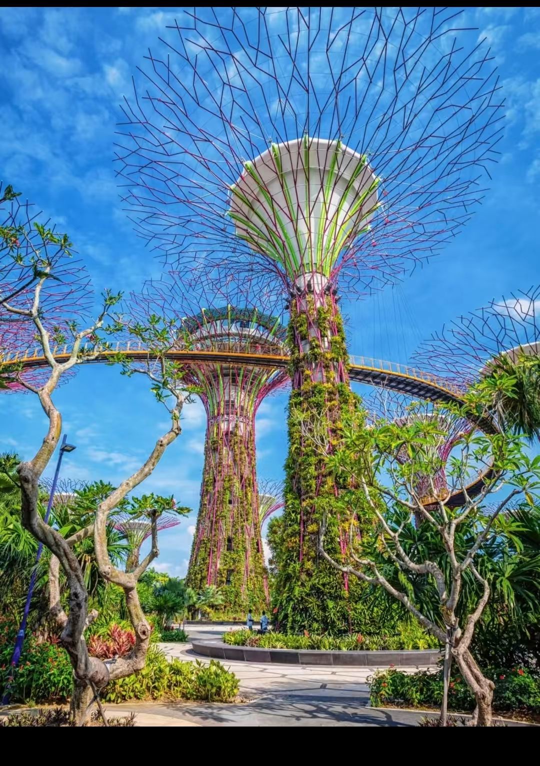 Singapore Sentosa One-way/Round-trip/Point-to-point Transfer/Customizable Itinerary