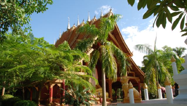 Immersion Day Tour in Xishuangbanna: One-Tree Forest's Majesty&Daluo Town's Charm[Private Car]